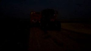 Картофель семенной Эволюшен первая репродукция уборк