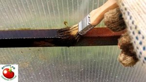 Как обработать теплицу осенью