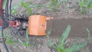 Мотоблок Кутаиси Супер 610 с узкой фрезой прополка и ры?