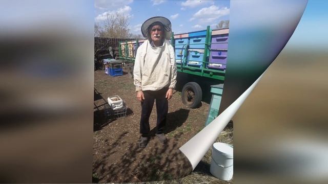 "Бал - сұлулуқтың алтын кілті" бейнеролик смотреть онлайн