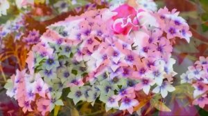 30 НЕПРИХОТЛИВЫХ ЦВЕТОВ ДЛЯ ПОДЗИМНЕГО ПОСЕВА В САДУ