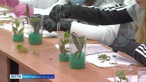Десять вологодских школьников отправились на первую «АгроСмену» в «Сириус»