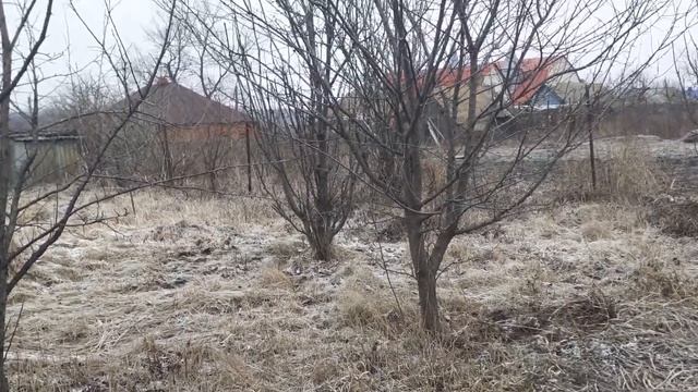 мой сад, и огород. смотреть онлайн