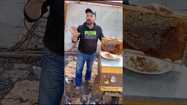 чем лучше кормить прчёл зимой смотреть онлайн