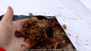 Агробалт не оставил нам выбора