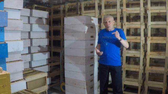 Как ЭФФЕКТИВНО ХРАНИТЬ СУШЬ от восковой моли? Чем обра смотреть онлайн