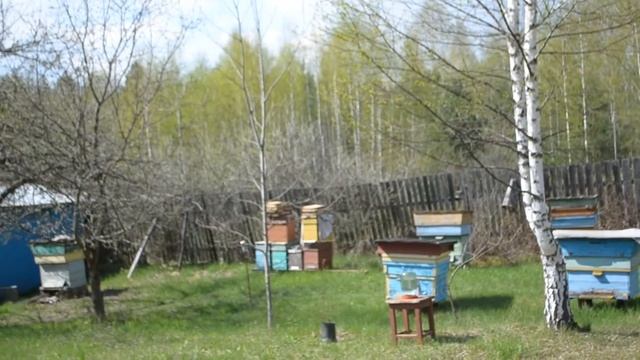 Пасека Морозовых в д. Тихоновка смотреть онлайн