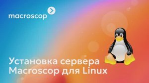 Установка сервер Macroscop для Linux