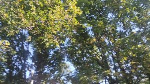 магический 🧝 солнечный ☀️ прогноз погоды от волшебника 9 сентября...