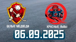 06.09.2025 Роллер хоккей #7