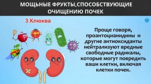 Мощные Фрукты для Очищения Почек, о Которых Вы не Знал?