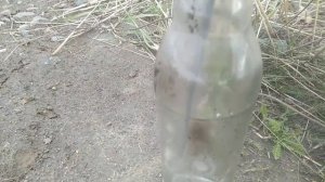 Мотоблок карвер МТ-700,   Carver MT-700, Пробил колесо на прице?