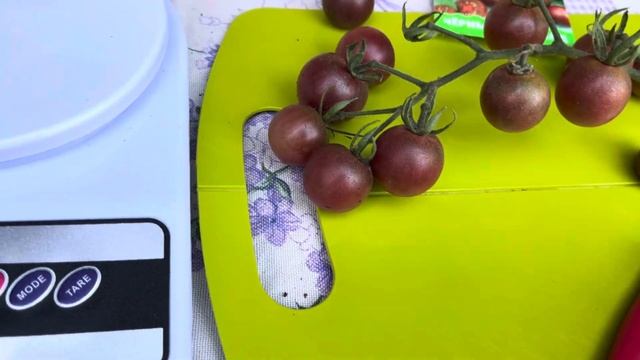 ТОМАТ  ЧЕРРИ « ЧЕРНЫЙ ШОКОЛАД»