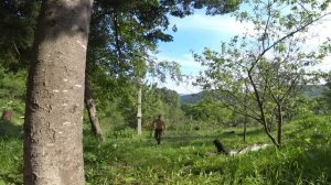 ЗАБРОШЕННЫЙ МИР ! ВСЕГО ЗА НЕДЕЛЮ БЕЗ ХОЗЯИНА, ДАЧА СТА