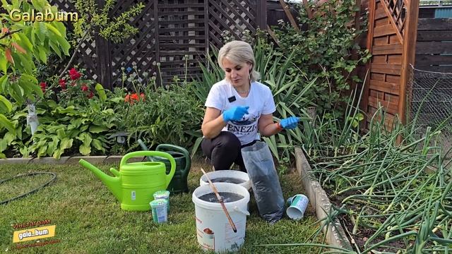 ПОДКАРМЛИВАЕМ ОГУРЦЫ ВАЖНОЙ ПОДКОРМКОЙ Второй раз / З смотреть онлайн