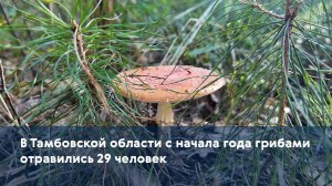 В Тамбовской области с начала года грибами отравились 29 человек