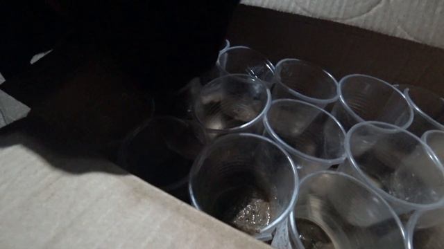 🍒 VLOG: Вторая грядка готова, зелени быть/ Привезли кирп смотреть онлайн