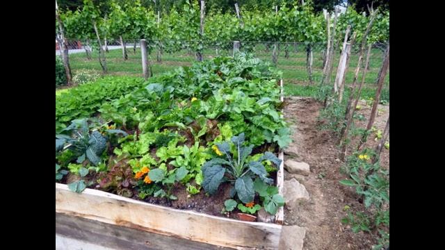 Хороший урожай! Огородная магия. смотреть онлайн