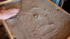 Четвертый день укоренения чубуков винограда в кильче?