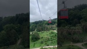 4 минуты страха 🙈Канатная дорога в Дендрарий Сочи 🌴#?