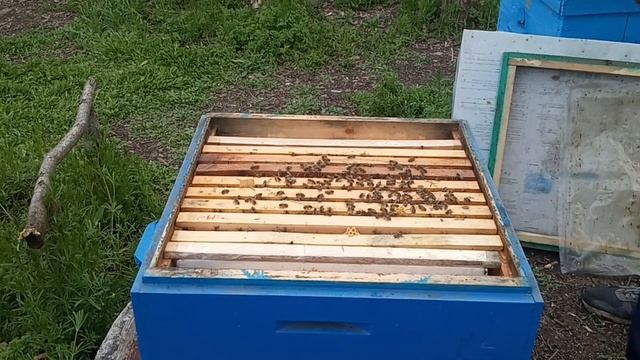 Стимулирующая подкормка в апреле смотреть онлайн