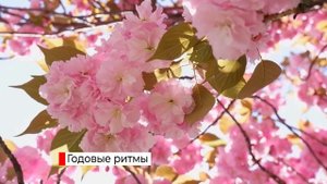 Сезонные изменения в жизни организмов 5 класс