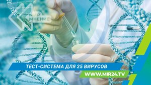 Российские ученые создали первую тест-систему по выявлению 25 типов вирусов