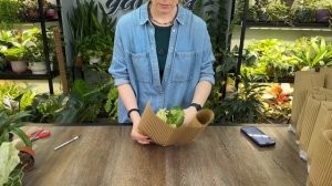 Большая распаковка посылки с растениями из Голландии