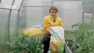 У вас кислая почва? Раскисляйте!