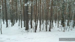 13_февраля_2022_г.