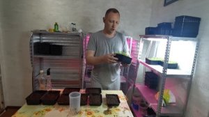 КАК ЧАСТО ПОЛИВАТЬ МИКРОЗЕЛЕНЬ - ВЫРАЩИВАНИЕ МИКРОЗЕЛ