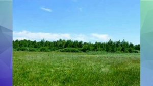 Угловский район Алтайского края