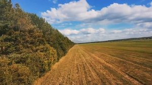 Золотая осень, DJi Neo 1080p 60fps