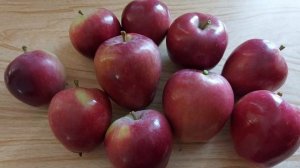 Яблоня Княжна. Самый лучший поздне-летний сорт!