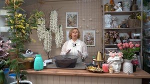Телезвезда Марина Рыкалина выращивает суперполезную