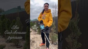 ‼️ТЕХНИКА РАБОТЫ С КУСТОРЕЗОМ - ТУЯ КОНУС‼️