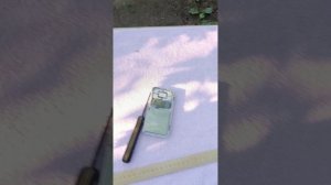 Обзор винограда Тайсон. Тел.89188938467.