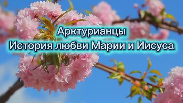 Арктурианцы история любви Марии и Иисуса 06.06.2025г (45 Послание)