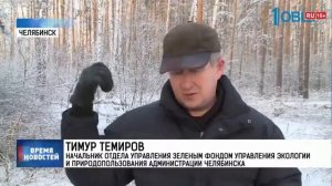 Челябинцы остановили вырубку деревьев в сквере