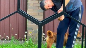 НОВИНКА 🔥🔥🔥ДРОВНИЦА СОТЫ🔥🔥🔥