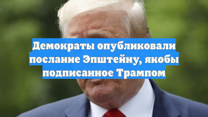 Демократы опубликовали послание Эпштейну, якобы подписанное Трампом