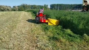 КАК И ЧЕМ КОСЯТ ТРАВУ В РАЗНЫХ СТРАНАХ МИРА #7 / GRASS CLEANING