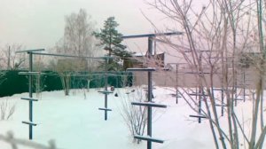 Укрытие винограда на зиму в условиях Средней полосы.