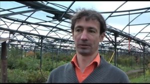 Сажаем луковичные с Павлом Траннуа