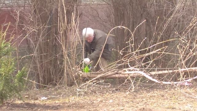 Самовольное уничтожение деревьев #экологияМосквы #лю? смотреть онлайн