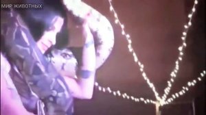 🔞СТРАШНЫХ НАПАДЕНИЕ ЗМЕЯ НА ЛЮДЕЙ