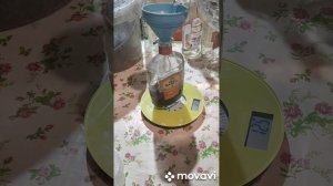 Как делать настойку ПЖВМ Огнёвка Восковой моли