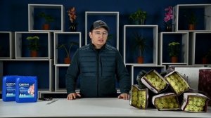 MONDIAL  I CANTIZA I ЭКВАДОР I ЦВЕТЫ ОПТОМ I АСТАНА