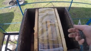 Как спасти слабую семью пчел весной. Наращивание пчел.