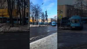 Питомник Гортензий в Москве